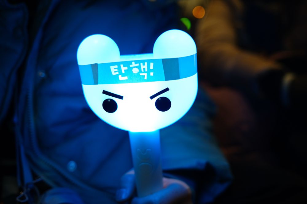 미국에서 날아온 소피씨의 화난토끼