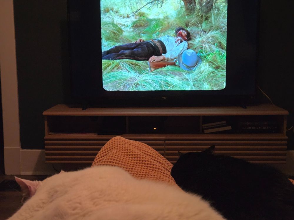 A big white cat and big black cat both sprawled out and snoring on a brown waffle-blanket covered lap, vaguely facing in the direction of a television with a still from the movie Jauja with a dead or dying man in a white shirt and dark pants on his back in the green, green grass beneath a tree.