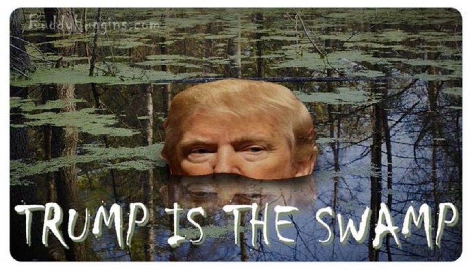 Trump is the swamp. Trump eyes peaking out of swampland.  