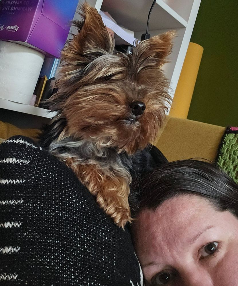 Tiny Toby looking almighty as he sits atop a black pillow, whilst Kate tries to scavenge a slither of the pillow at the bottom right side.