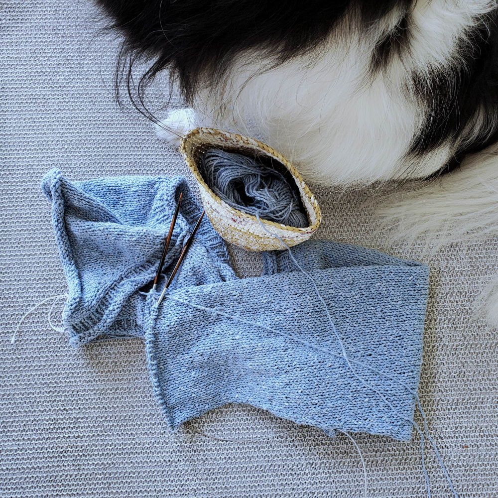 sky blue partially knit sleeve on tan woven surface with black and white FOMO dog haunch. pattern is urban ballerina shrug, yarn is discontinued.  #knitting #sleeveisland 🧶
