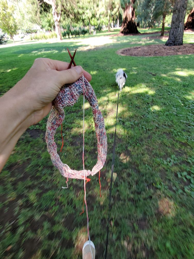 park setting, small white dog and a hand holding a partially knit project in a mottled color pattern.  yarn is discontinued cotton,  pattern is urban ballerina shrug #dogwalkknitting #knitting 🧶
