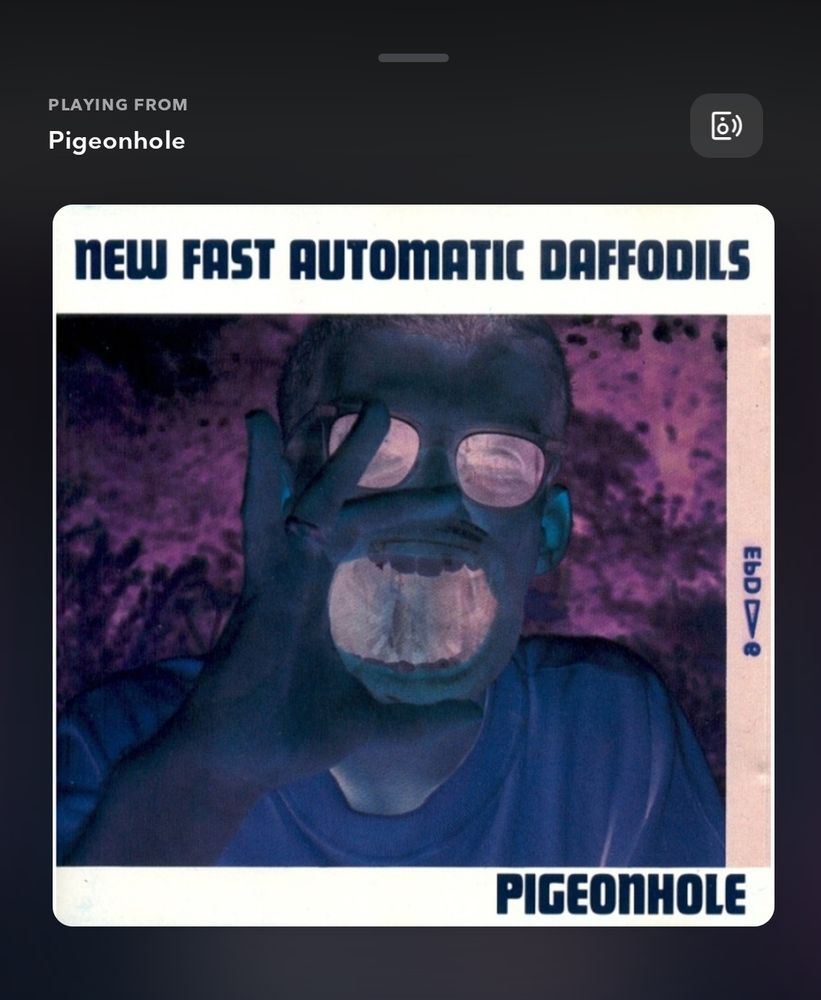 A screenshot of the album cover of Pigeonhole by New Fast Automatic Daffodils which is fucking BRILLIANT.