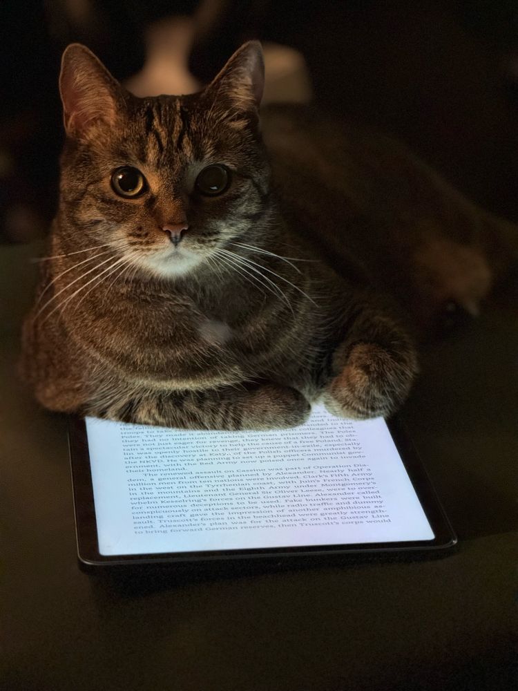brown tabby kitty is curled, “most interesting cat in the world” style, leaning slightly to the side, over top of my
spouse’s lit iPad, which is open (albeit upside down) to a page in an e-book about the battle of Monte Casino.