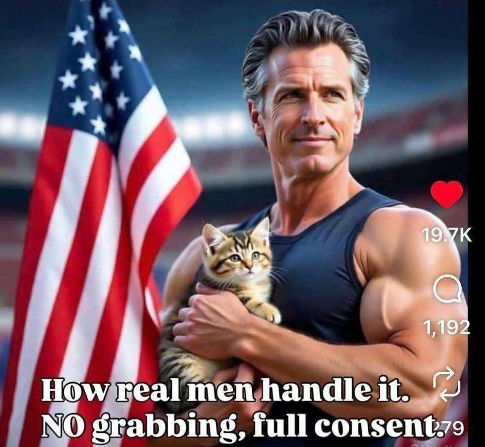 AI-Gavin newsy holding a kitten. Caption reads ‘How real men handle it. NO grabbing, full consent.’