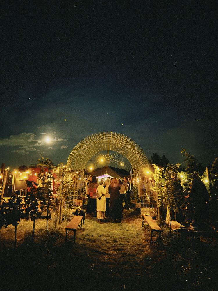 party in the middle of a vineyard