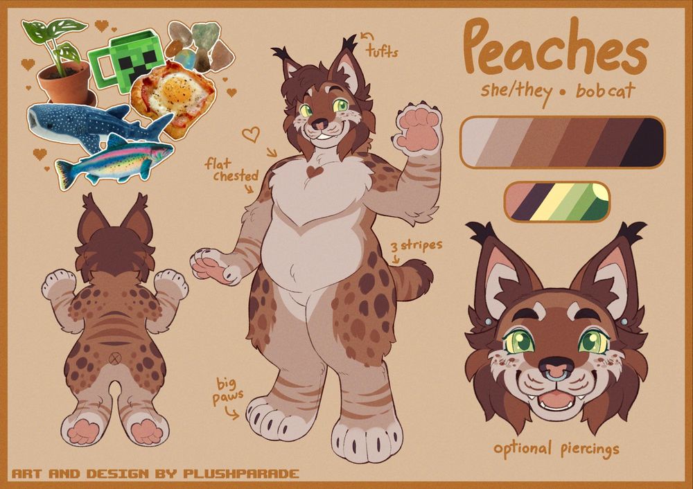 A reference sheet for the character Peaches the bobcat. From left to right: A collage of their favorite items and interests, including whale sharks, plants, rocks and breakfast. A small back view to show their back markings. Peaches, standing in the middle, smiling with her paw held up to show details. Next, the text reading "Peaches she/they bobcat" with their color palettes underneath. Below a close up of their face, showing it's details and optional earrings and septum piercing.