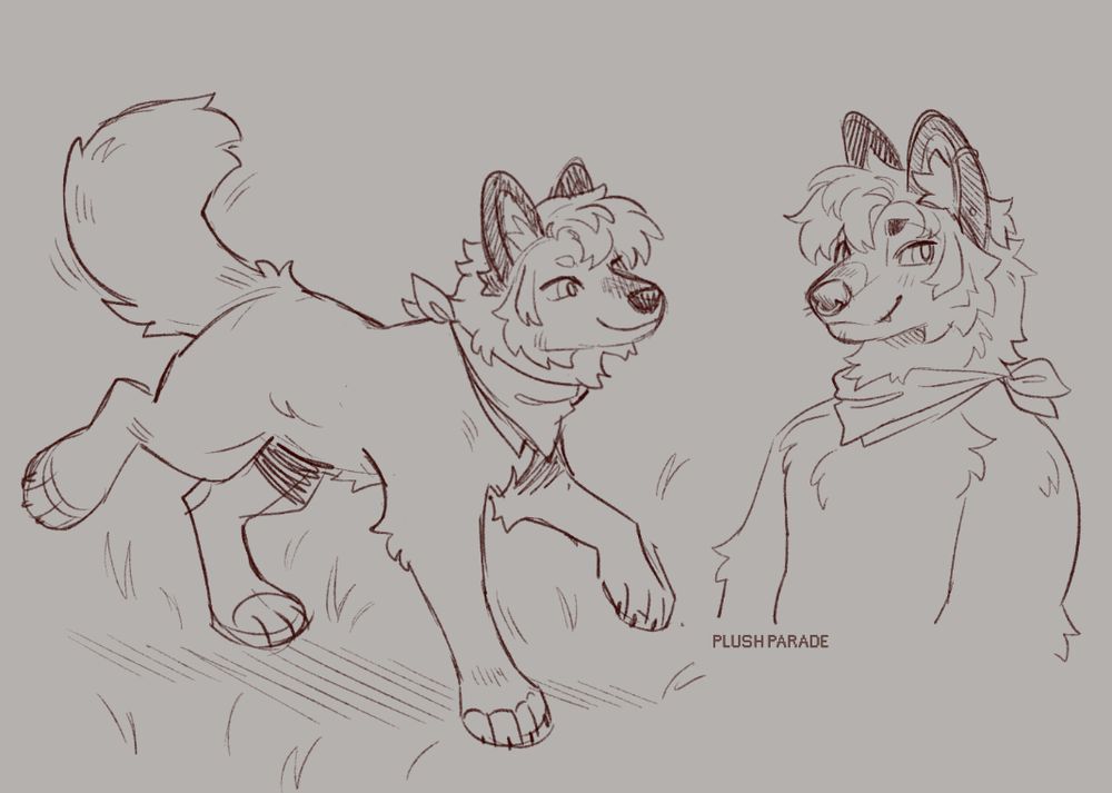 2 sketches of my unnamed dhole sona.
left is them quad/feral trotting along in the grass
right is them anthro smiling and looking to their left