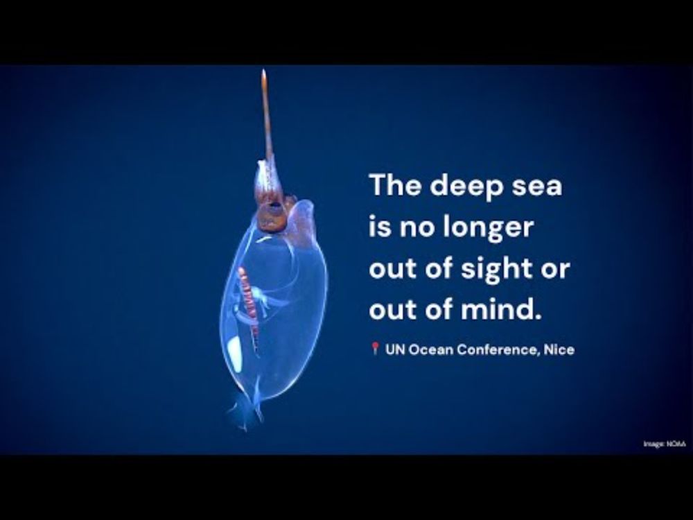 United for the Deep at the UN Ocean Conference