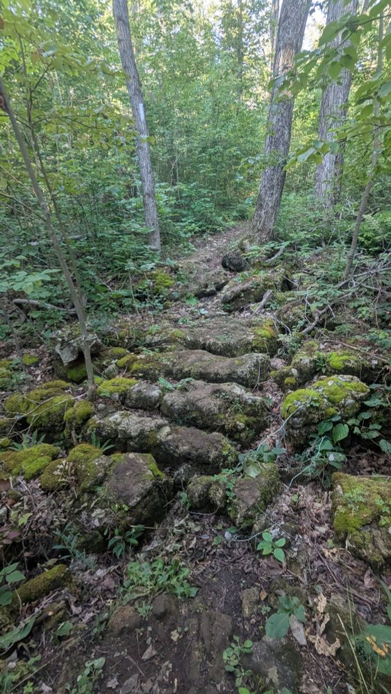 A broken, moss-strewn pile of eroded bedrock masquerades as a trail