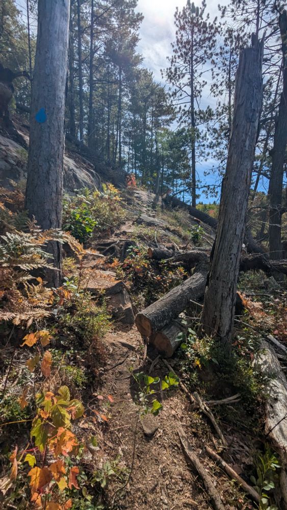A narrow, rocky trail draped in autumnal colours squeezes between two trees on loop 3 of the Abes & Essens backpacking trail