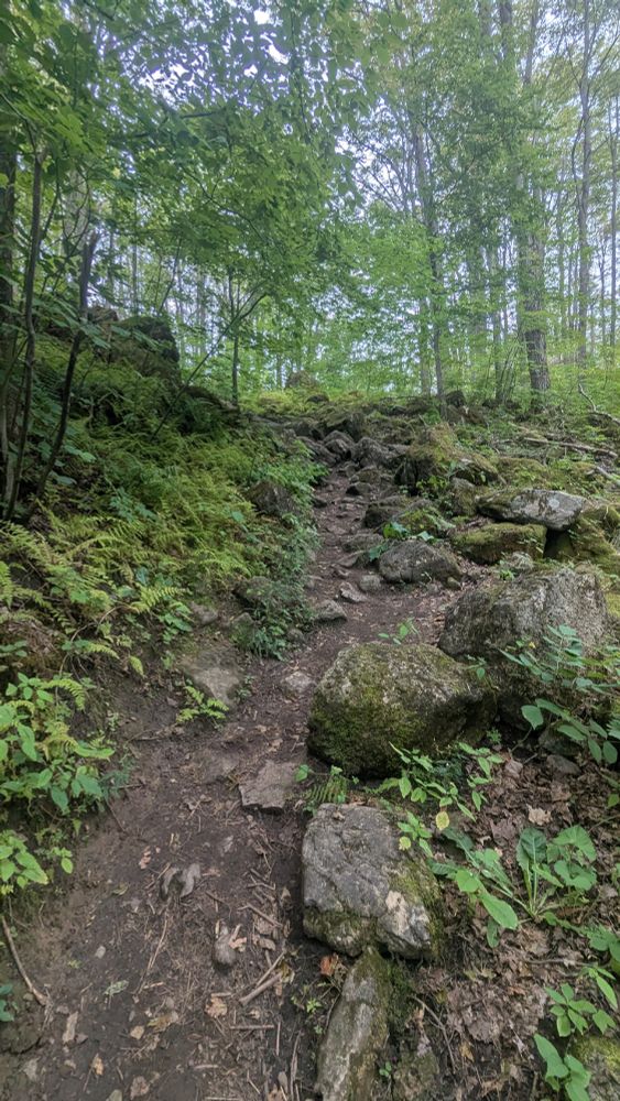 A steep, rocky, overgrown climb up a hill whose summit cannot be seen