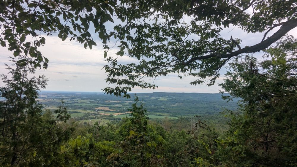 View from near the highest point of the Bruce Trail - tree branches frame a forested downslope to a green valley, with a tree-clad rise beyond