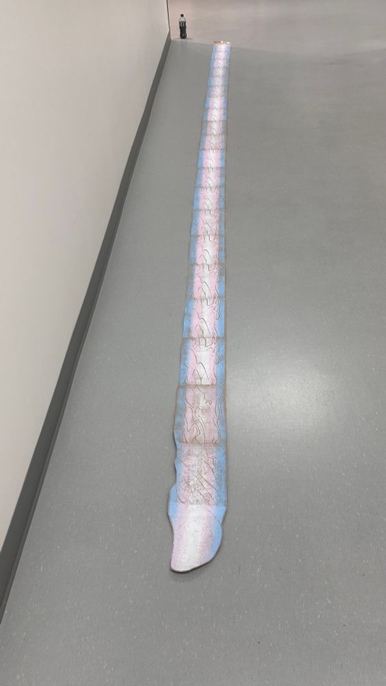 A ~17 foot long print of a penis, colored as the transgender flag. (blue, pink, white, pink, blue). It is circumcised. This image is taken from the tip side.
