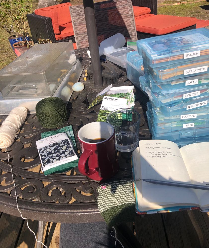 Outdoor metal table covered with two balls of yarn, a half knit striped sock, seed packets, two upside down bins, a cup of coffee, a glass of water, and a garden planning notebook. 