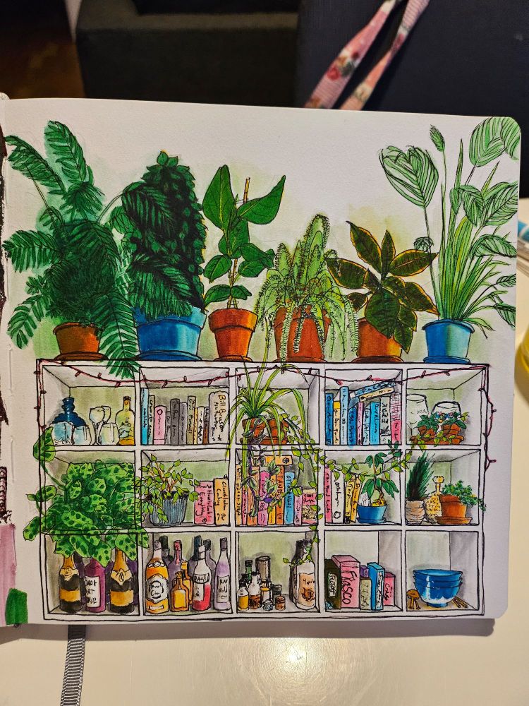 Ink and watercolor marker illustration of white square shelves filled with books, plants, games and drinks  