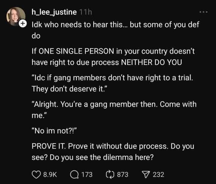 Screenshot of a social media post by user h_lee_justine. Text reads: 
idk who needs to hear this... but some of you def do
If ONE SINGLE PERSON in your country doesn't have right to due process NEITHER DO YOU
"idc if gang members don't have right to a trial. They don't deserve it."
"Alright. You're a gang member then. Come with me."
"No im not?!"
PROVE IT. Prove it without due process. Do you see? Do you see the dilemma here?