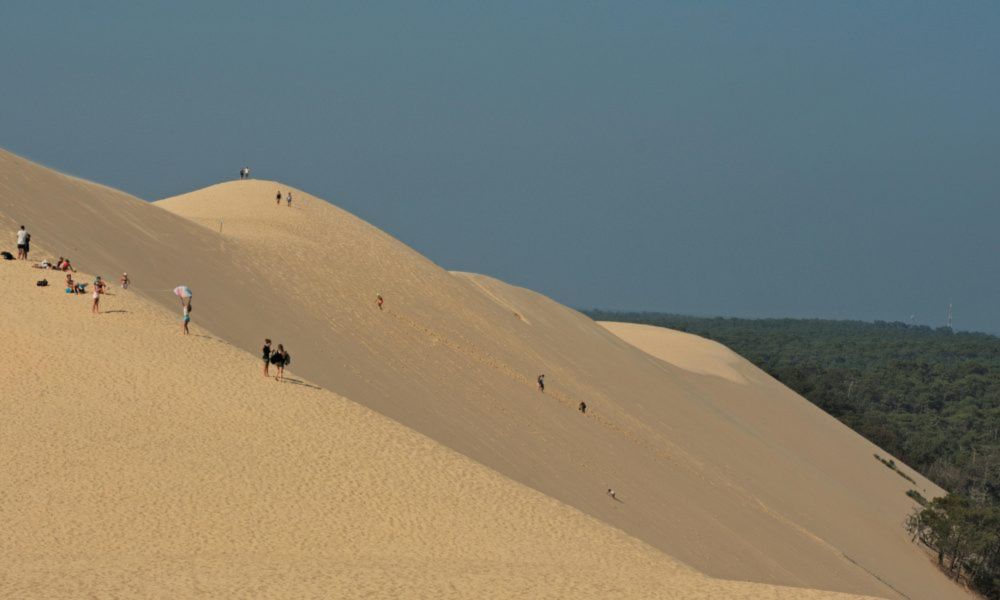 Mission sauvetage pour la dune du Pilat. Afin de préserver le site naturel des effets néfastes du surtourisme, la mairie de la Teste-de-Buch a réagi en annonçant l'installation de plusieurs sans-abri ...