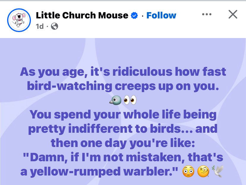 Image that reads: As you age, it's ridiculous how fast bird-watching creeps up on you.

You spend your whole life being pretty indifferent to birds... and then one day you're like:

"Damn, if I'm not mistaken, that's a yellow-rumped warbler."
