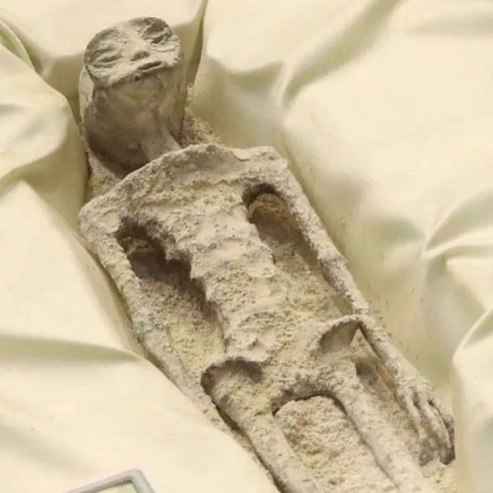 The alien from Alien Earth.