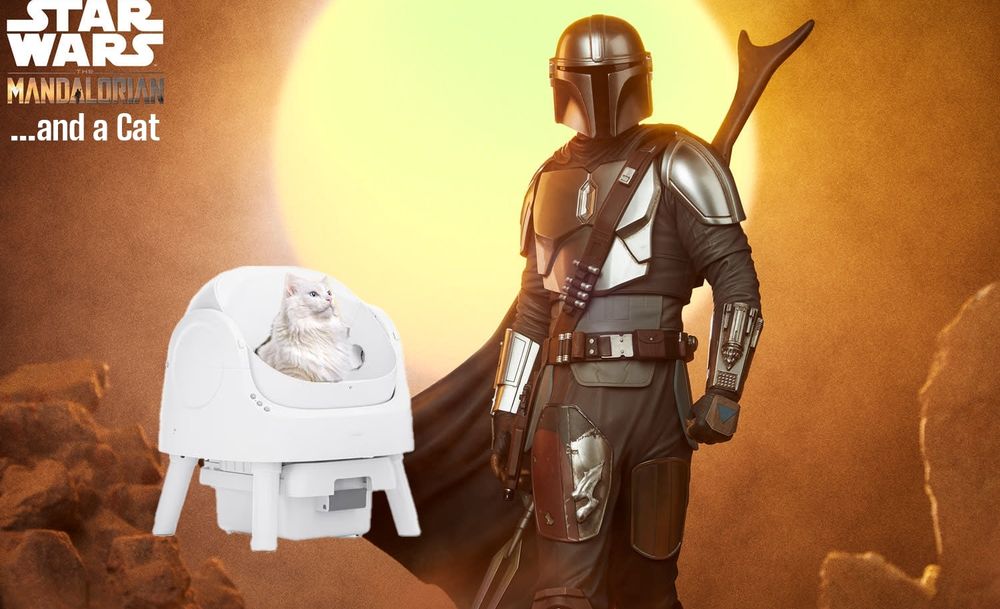 The Mandalorian and a Cat. In cinemas summer 2026