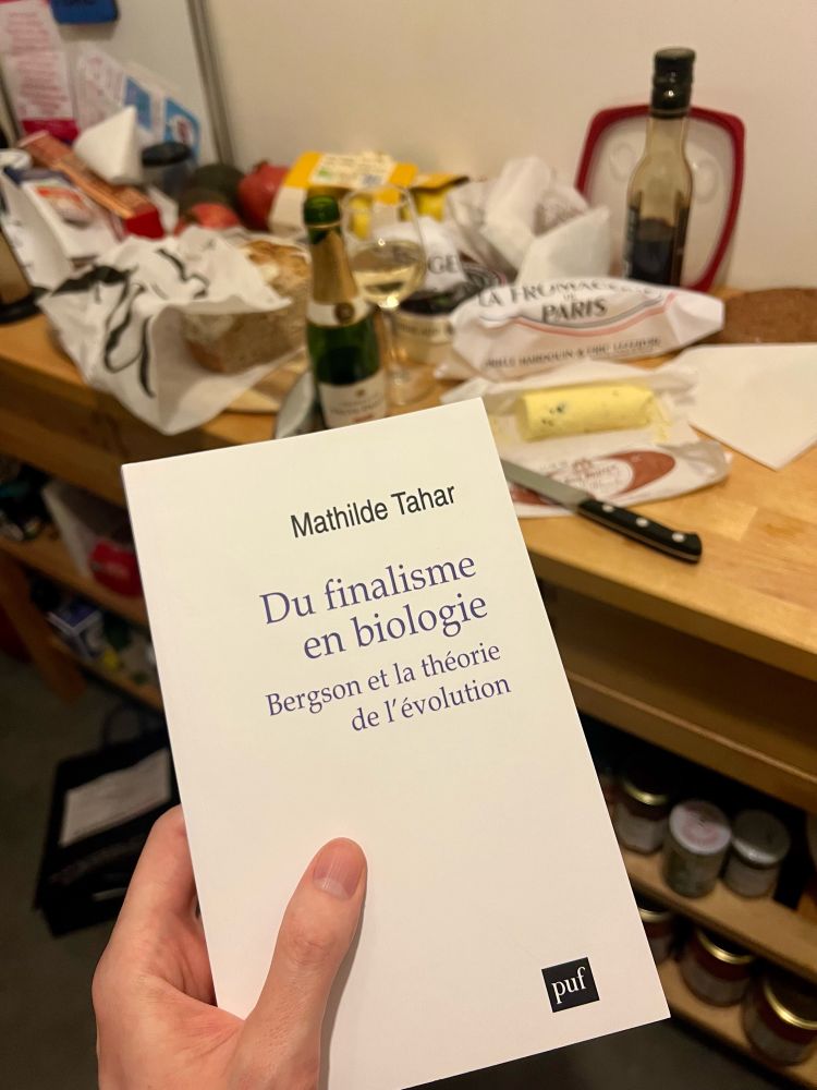 Book and cheese and wine