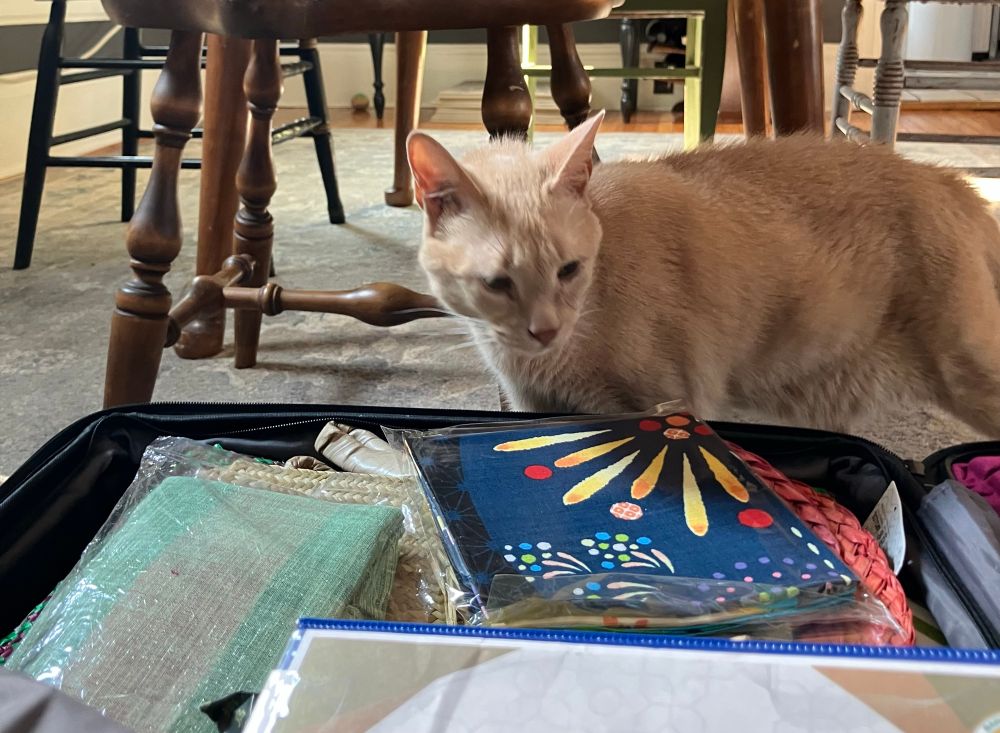 Orange cat checking out suitcase 