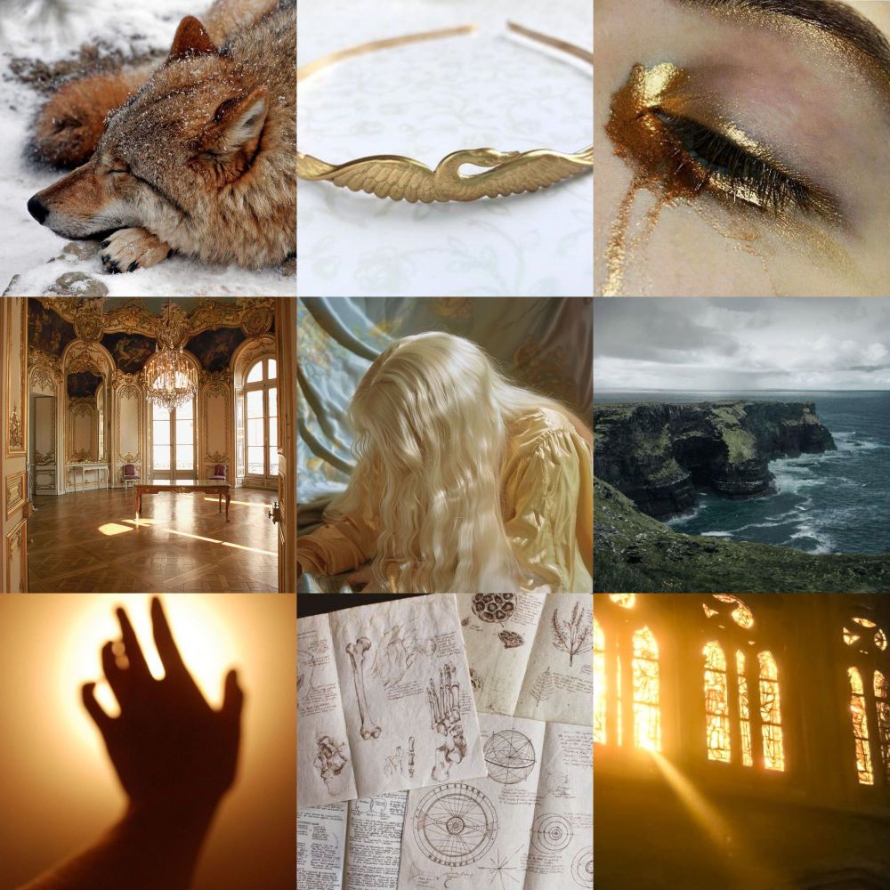 Moodboard including: a sleeping red wolf, a golden circlet with a swan design, an eye stained with gold paint, an empty ballroom, a blonde girl dressed in gold with her face obscured, a stormy cliffside, a hand blotting out the sun, anatomical textbooks, and sunlight shining through a church window.