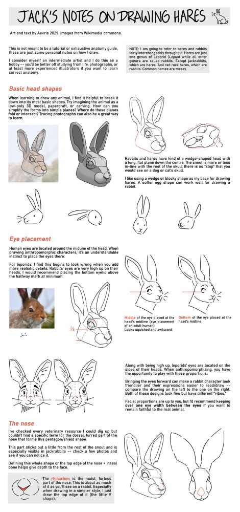 Lengthy guide on how the artist draws rabbit heads and anthropomorphizes them.  