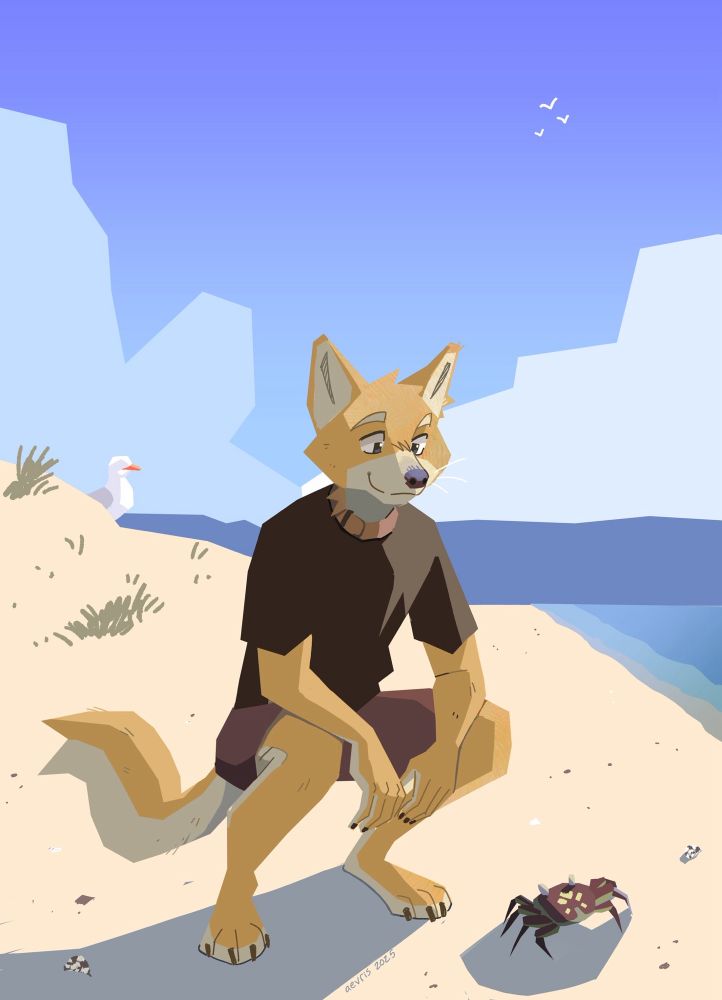 digital illustration of an anthropomorphic dingo character on a sandy beach. he’s crouching down to look at a crab.