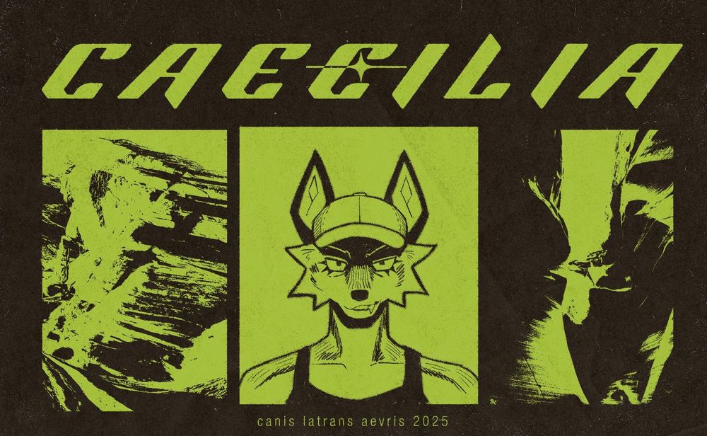 a triptych poster layout in black and green. the panels on the left and right are photographs of desert rock formations; the centre panel is a drawing of an anthropomorphic coyote character. the header text reads “CAECILIA” 