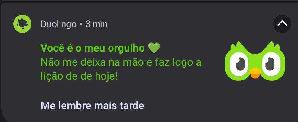 Notificação do aplicativo Duolingo:
"Você é meu orgulho 💚
 Não me deixa na mão e faz logo a lição de hoje!"
