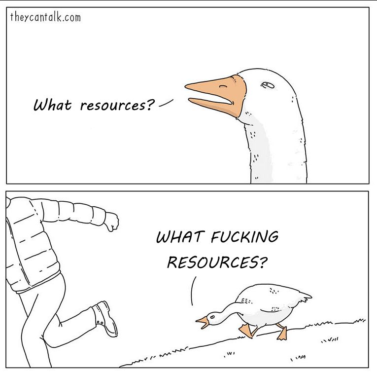 A two panel comic. The first panel has a goose looking suspiciously, saying "what resources?" The second panel has the goose chasing someone while yelling "WHAT FUCKING RESOURCES?"