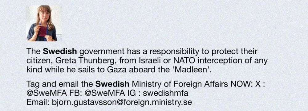 En uppmaning på sociala medier att kontakta svenska UD och kräva skydd för Greta Thunberg när hon närmar sig Gaza.