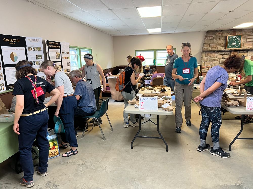 A group of people in a room look at fungi on tables.
