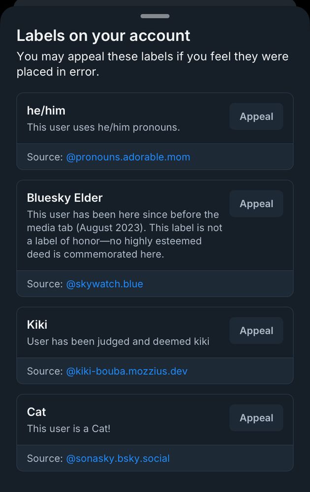 bsky "labels on your account screenshot"


he/him
This user uses he/him pronouns.
Source: @pronouns.adorable.mom

Bluesky Elder
This user has been here since before the media tab (August 2023). This label is not a label of honor—no highly esteemed deed is commemorated here.
Source: @skywatch.blue

Kiki
User has been judged and deemed kiki
Source: @kiki-bouba.mozzius.dev

Cat
This user is a Cat!
Source: @sonasky.bsky.social
