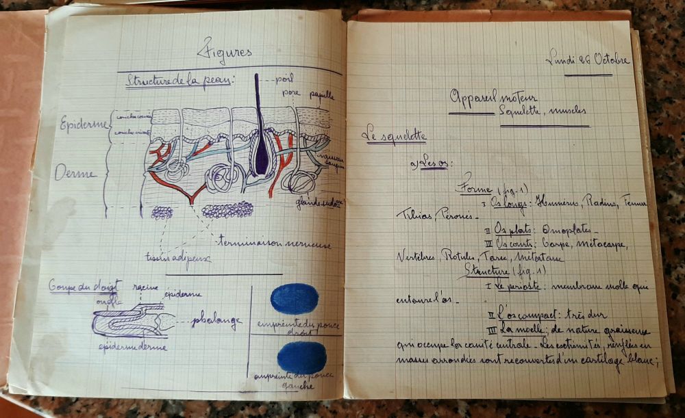 Cahier d'histoire naturelle. Leçon du lundi 26 octobre (1936 ?) portant sur le squelette. Sur la page de gauche se trouvent deux schémas explicatifs de la structure de la peau et de la coupe du doigt
