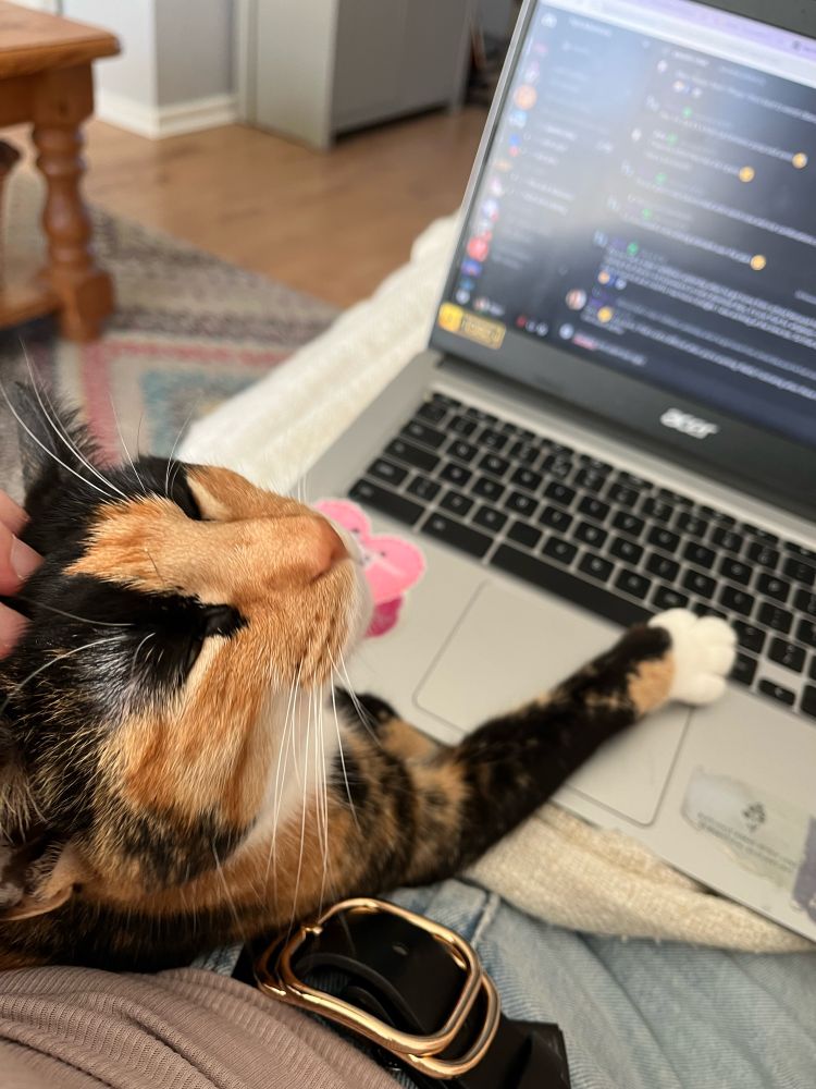 A beautiful tortoiseshell cat sitting on her owner’s lap. She has one paw on a laptop 