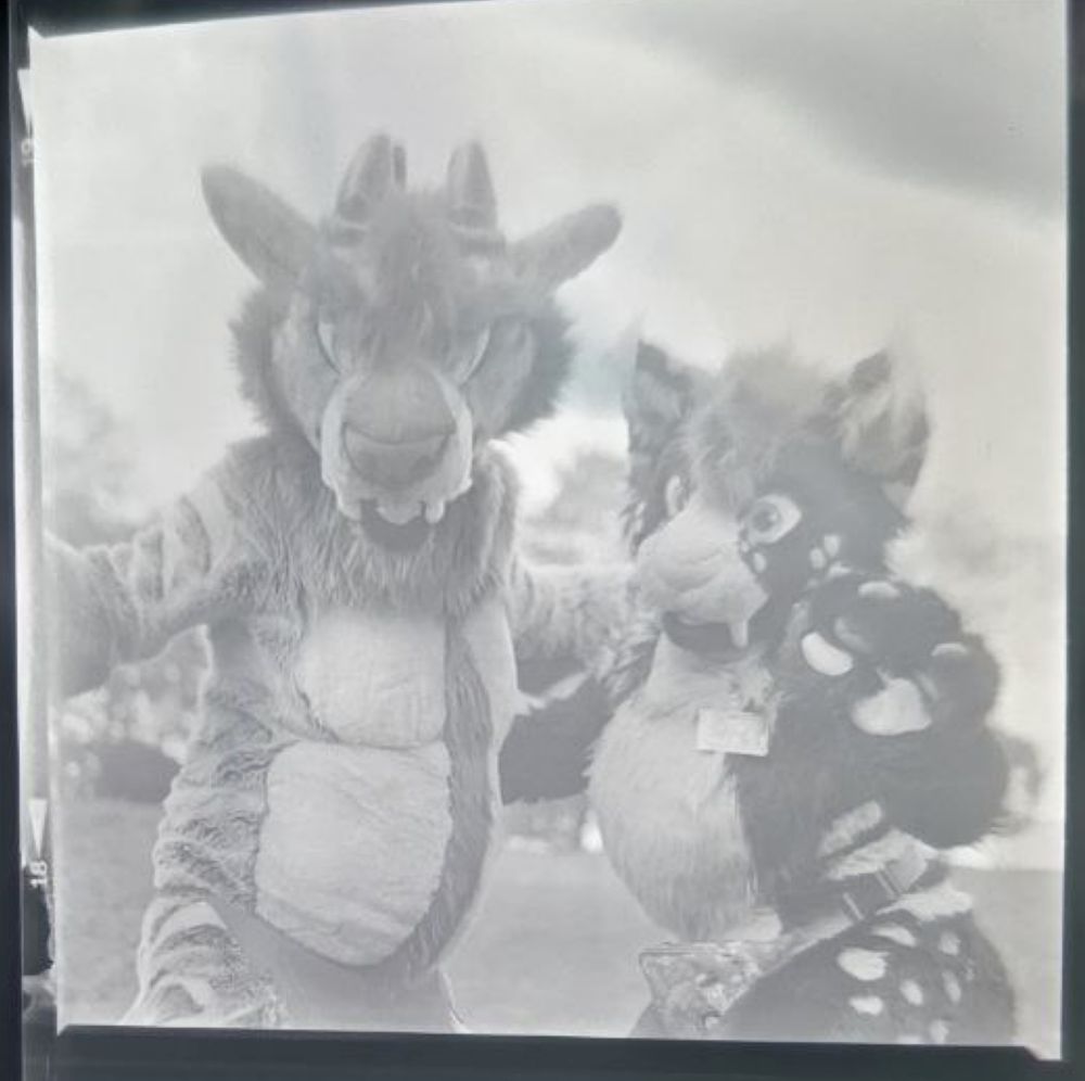 Medium format film photograph of Basalt and Gale.