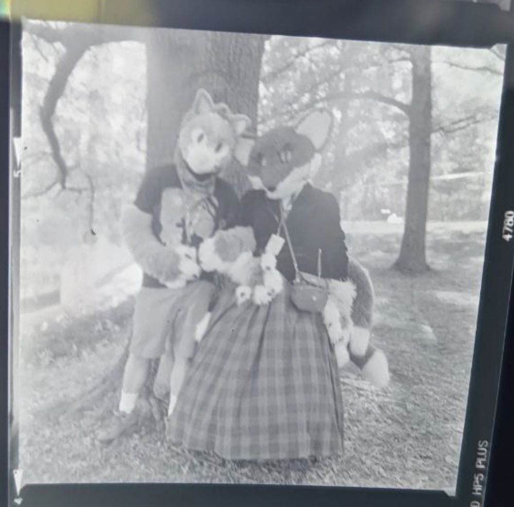 Medium format film photograph of two knitted fursuits, a cat and a fox, posing in front of a tree.