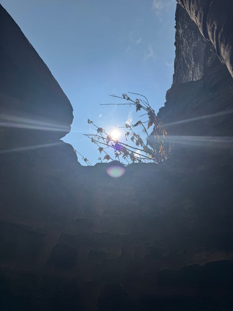 Light banishing the dark 
