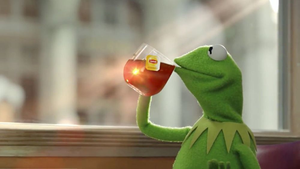 Kemit the frog is sipping from a glass of tea in front of a large window. The sunlight is catching in a very aesthetically pleasing way in the tea. This is the "That's none of my business" meme image. 
