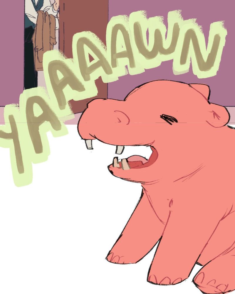 A miniature hippo is in the room, yawning as the bottom half of someone is closing the door behind them.