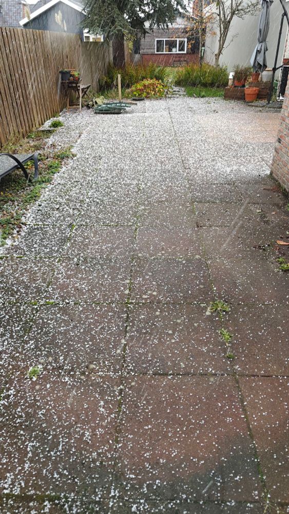 Een achtertuin met hagelstenen