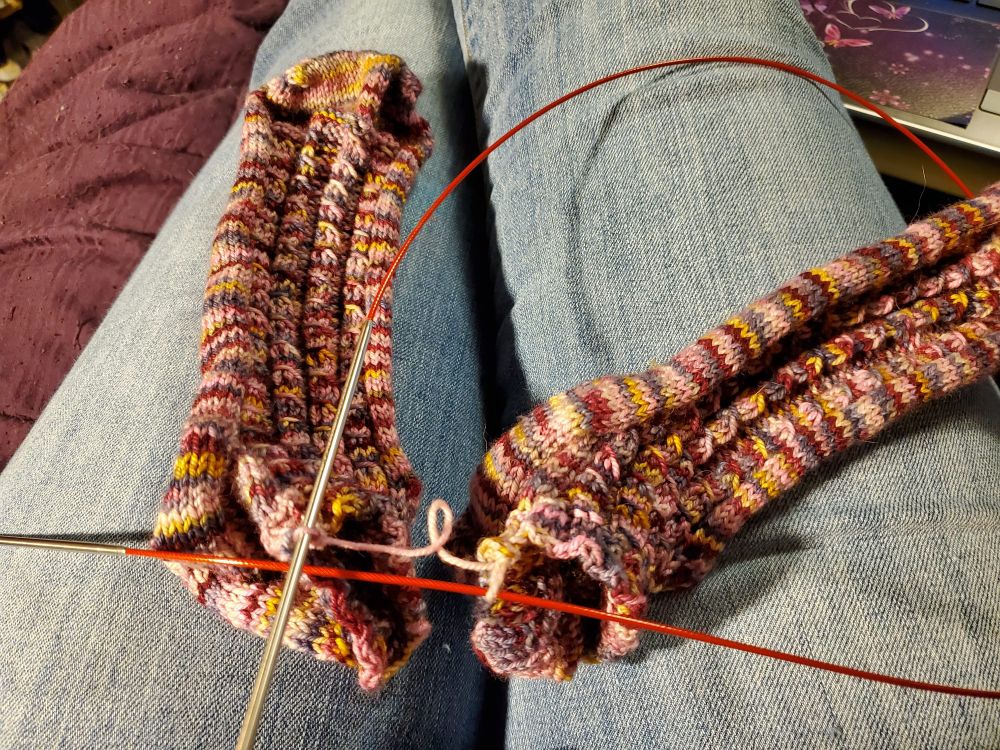 A pair of ankle socks with a single stitch each left on the circular needle, showing that the game of yarn chicken has been won with approximately 3 cm left. The socks are a variegated riot of pink, magenta, mustard and lavender. 