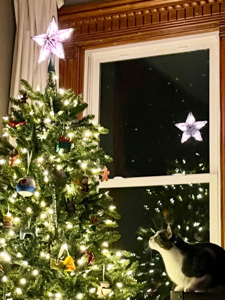 Pounce staring at Stefon ornament