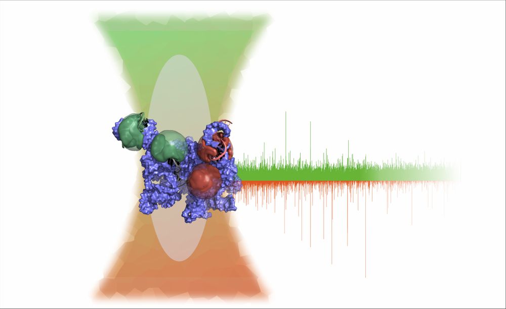 A folded RNA molecule in the confocal volume of a microscope and a graph showing excitations in the Cy3 and Cy5 channel. Expanding the single-molecule FRET toolkit to tackle complex macromolecular dynamics.