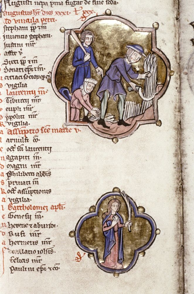 Gold embossed illumination from a medieval manuscript showing three individuals harvesting wheat. The person on the right uses a tool to gather plants, the one in the centre collects a bundle of harvested wheat from the ground, and the person on the left watches whilst holding a cudgel...perhaps to 'inspire' his fellow labourers.

Below, a smaller embossed miniature shows the personification of the astrological sign Virgo. Virgo, 'The Virgin', is usually represented as a young woman holding a sheaf or bundle of wheat. 

Bodleian Library MS. Add. A. 46. 13th Century calendar from a Psalter. Flanders. 
https://digital.bodleian.ox.ac.uk/objects/5b5a488d-cf31-4bab-a347-b5ae26c01f12/