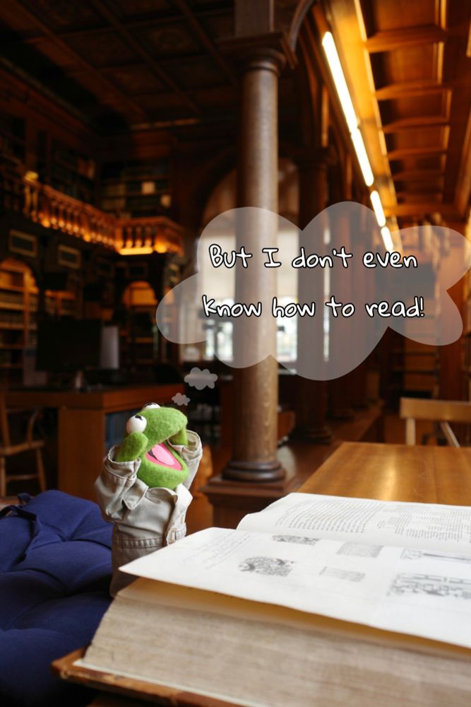 Kermit the Frog in the same position, with his head in his hands thinking 'But I don't even know how to read!'