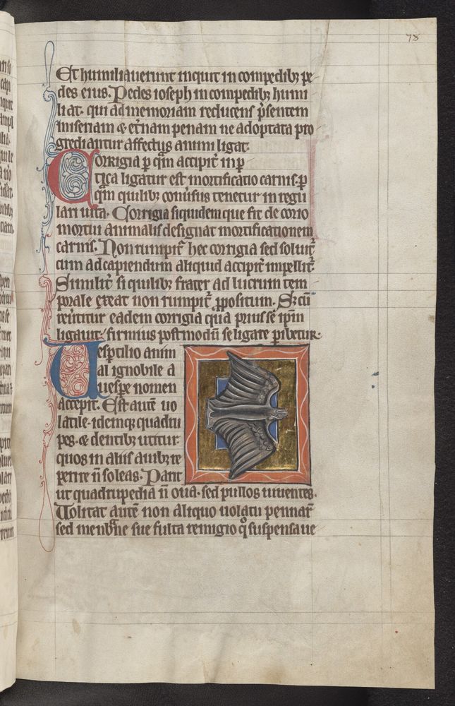 A page from a bestiary showing Latin text and a black bat illustration in an embossed gold square. The bats wings look feathered and the shape is bird like, suggesting whoever drew it may not have seen a bat up close before.